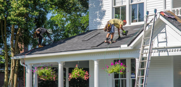 Best Roof Gutter Cleaning  in Fairplay, GA